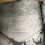 Seek The Frozen Lands - Irish Polar Explorers 1740-1922 (Hardcover) Image 4