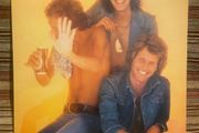 The Walker Brothers - No Regrets [Vinyl]