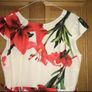 Wedding Guest, Races, Occassion Dress Size 12 Image 3