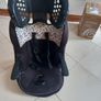 Car Seat for Toddler Image 3