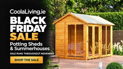 Black Friday timber sheds sale.  Its on!