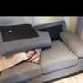 two seater coach Image 4