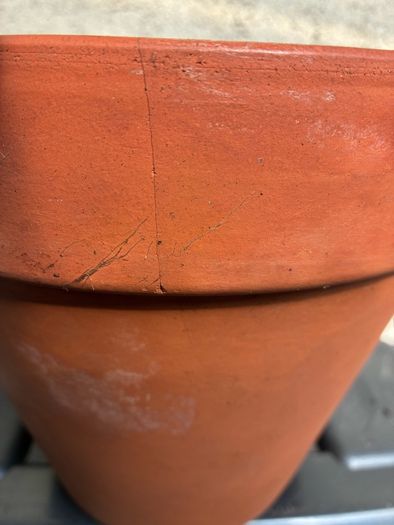 Terracotta flower pot