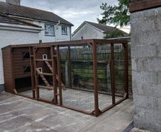 catio