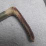 Horse Riding Crop Image 2