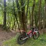 2018 Gas Gas Txt Gp 300 Trials Bike Image 7