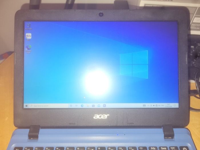 acer