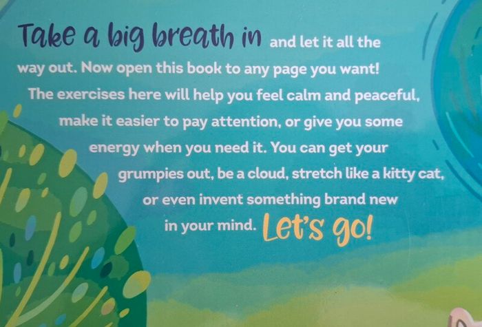 Mindfulness Book for Young Kids "Breathe Like a Bear"