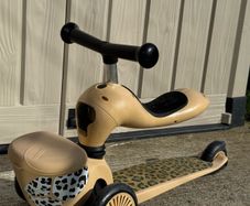 Scooter Scoot and Ride