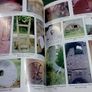 Milling on the Crannagh Cross River Roscommon Ireland Irish Local history Image 4