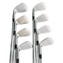 Cleveland CG1 Tour Irons / 3-Pw / Dynamic Gold R300 Regular Image 3
