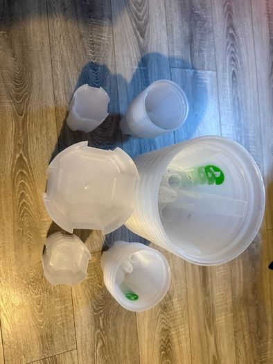 Clear Self-Watering Plant Pots
