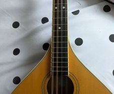 Bouzouki  By  Ashbury