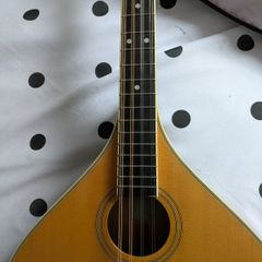 Bouzouki  By  Ashbury