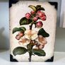 Sid Dickens memory block T-462 Apple Blossom Image 7