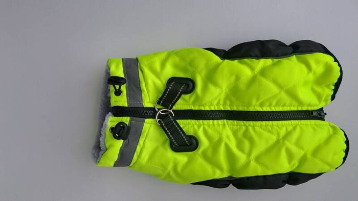 dog jacket