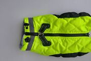 dog jacket