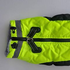 dog jacket