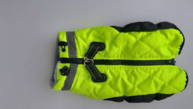 dog jacket