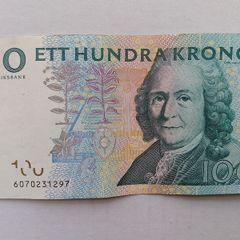Swedish Banknote