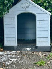 Dog house