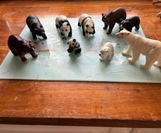 Schleich(and other) bears