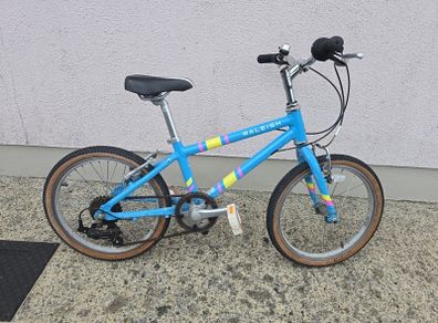 Raleigh Kids Bike