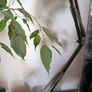 Vintage Mid-Century Industrial Architect Desk Lamp Image 2
