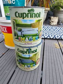 free paint
