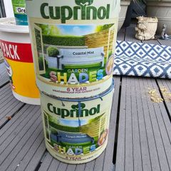 free paint