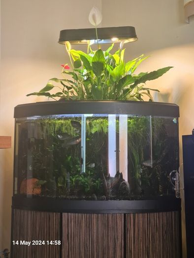 Fluval Venezia 190 Riparium (Going Concern)