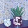 Plant Pot Image 2