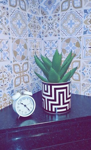 Plant Pot