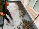 gutters cleaning, roof Cleaning + Pressure Washing, window 10% off now Image 7