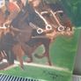 Painting horse racing Image 2
