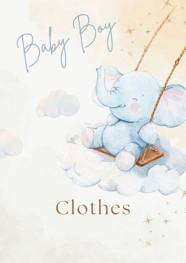 Baby Boy Clothes Bundle