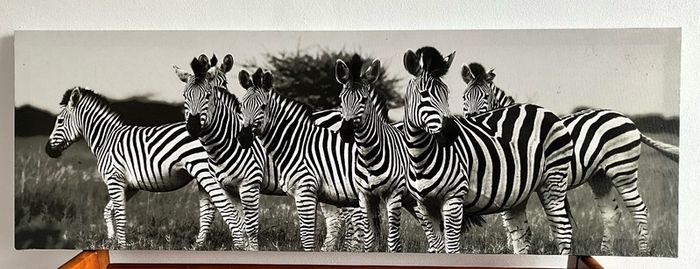 Large Black & White Wall Art Prints. Set of 3