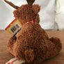 New Soft Canadian Moose and Beaver Image 5