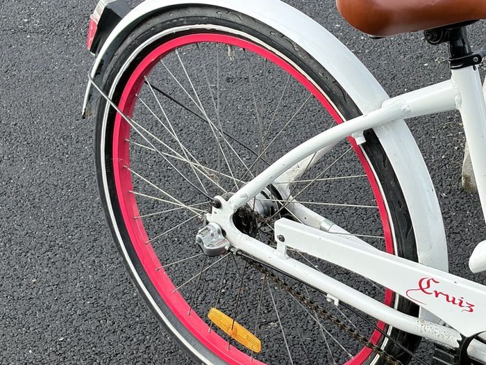 Popal dutch female city Bike