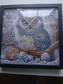 Owl Diamond Painting Framed