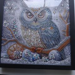 Owl Diamond Painting Framed
