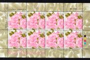 2011 Cyprus (Greece) Flowers - Roses Commemorative Stamps Sheet of 10 Mint Never Hinged (MNH)