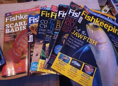 practical fishkeeping x18