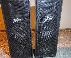 Wanted - Peavey PV 215 2-Way Passive