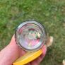 Glass jars (10) Image 3