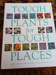 Tough Plants for Tough Places/ Gary Vergine & Michael Jefferson- Brown