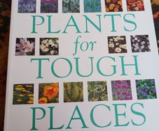 Tough Plants for Tough Places/ Gary Vergine & Michael Jefferson- Brown