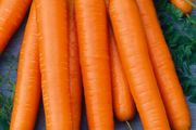 (C) Carrot Nantes 3 seeds 3g (124374)