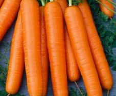 (C) Carrot Nantes 3 seeds 3g (124374)