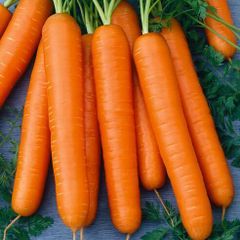 (C) Carrot Nantes 3 seeds 3g (124374)